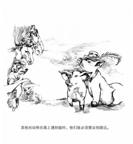 动物农场