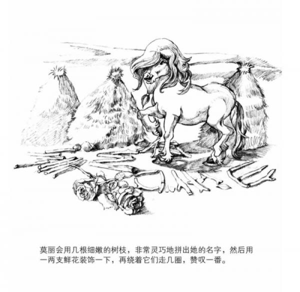 动物农场