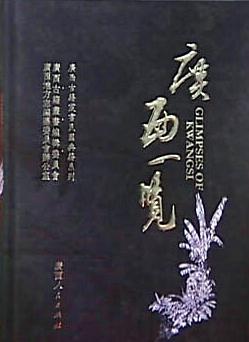 廣西一覽