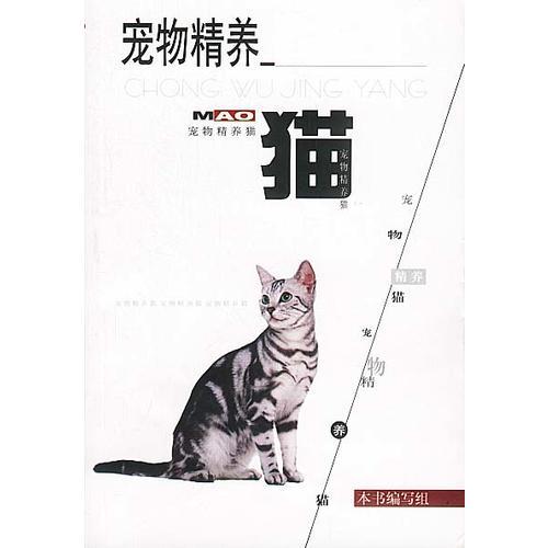 宠物精养--猫