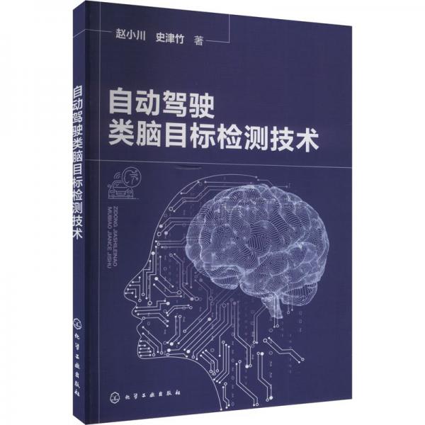 自動(dòng)駕駛類(lèi)腦目標(biāo)檢測(cè)技術(shù)