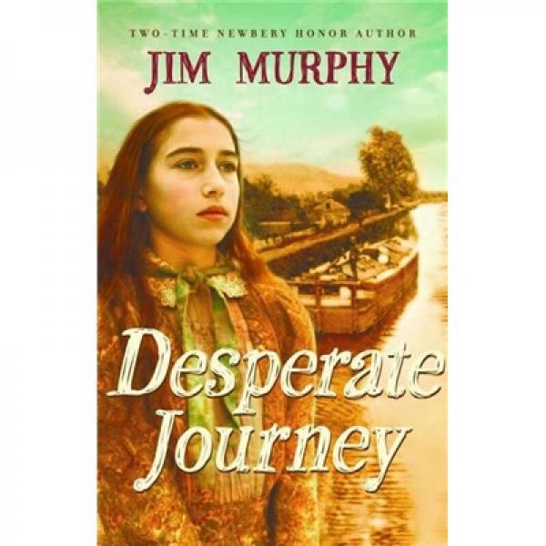 Desperate Journey  血路  