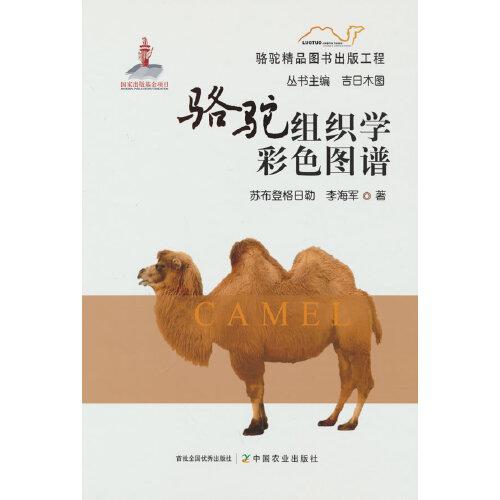 駱駝組織學(xué)彩色圖譜