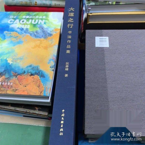 （精装）大道之行：书法作品集