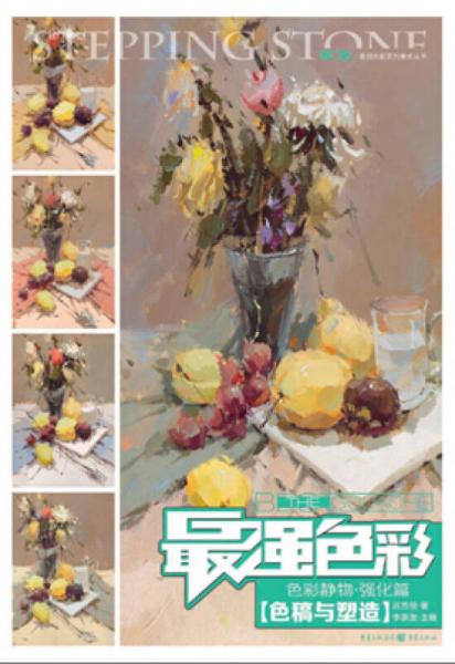 最強(qiáng)色彩：色彩靜物·強(qiáng)化篇（色稿與塑造）/素描風(fēng)暴系列美術(shù)叢書