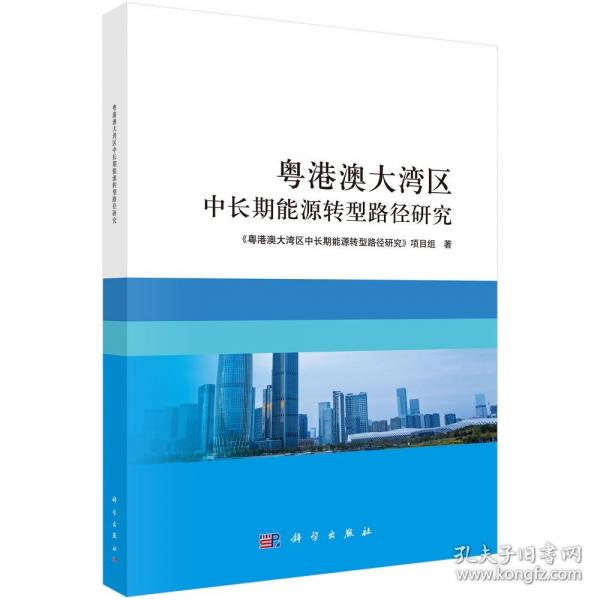 粤港澳大湾区中长期能源转型路径研究