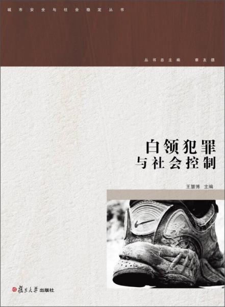 城市安全與社會(huì)穩(wěn)定叢書：白領(lǐng)犯罪與社會(huì)控制