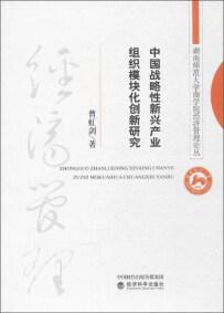 中国战略性新兴产业组织模块化创新研究