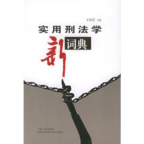 實(shí)用刑法學(xué)新詞典