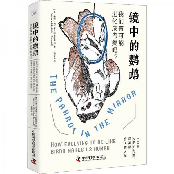 鏡中的鸚鵡：我們有可能進化成鳥類嗎？