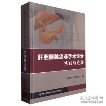 肝胆胰腺癌非手术诊治