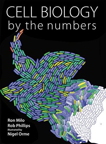 Cell Biology by the Numbers