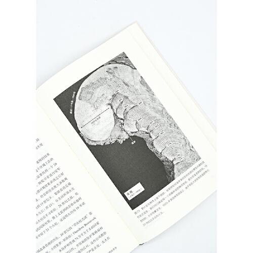 年轮里的世界史