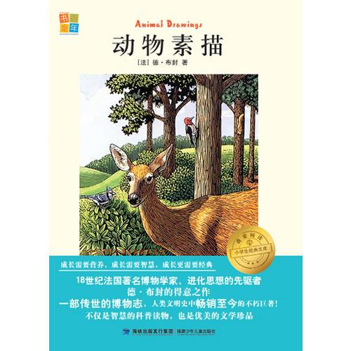 动物素描