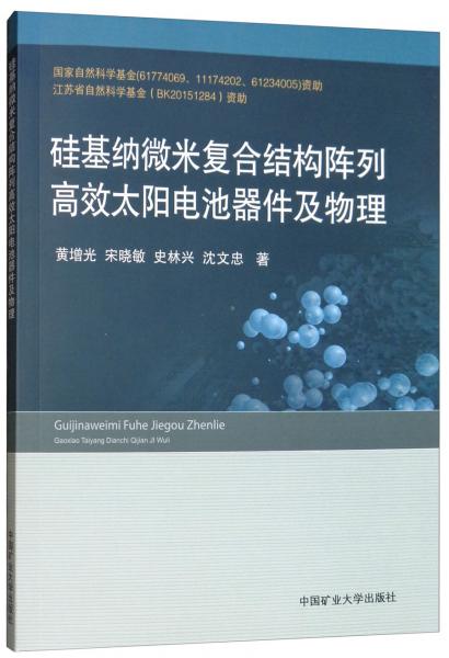 硅基納微米復(fù)合結(jié)構(gòu)陣列高效太陽(yáng)電池器件及物理