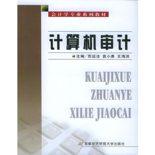 計算機審計——會計學專業(yè)系列教材