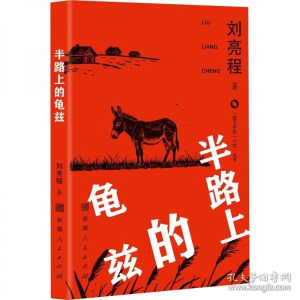 放下手机一小时丛书 半路上的龟兹 9787228219797新疆人民出版社