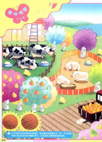 幼儿观察力训练：整体观察训练