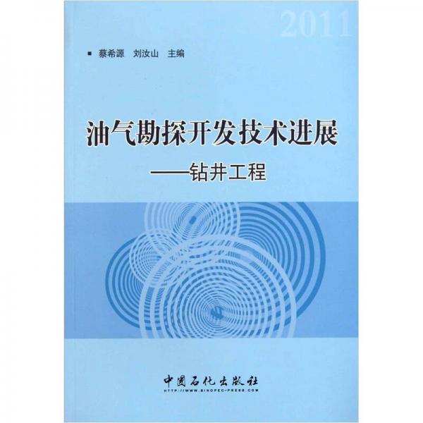 油氣勘探開發(fā)技術進展：鉆井工程
