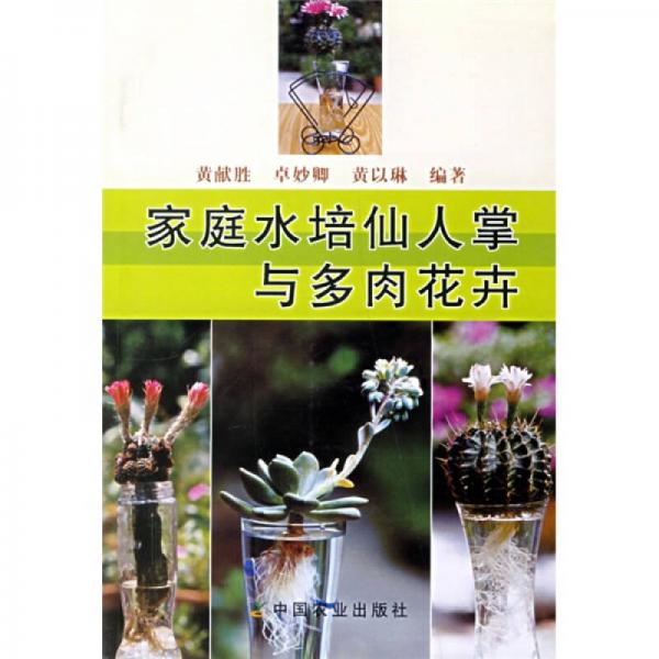 家庭水培仙人掌與多肉花卉