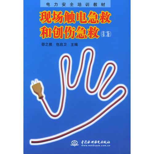 現(xiàn)場(chǎng)觸電急救和創(chuàng)傷急救（第二版）（電力安全培訓(xùn)教材）