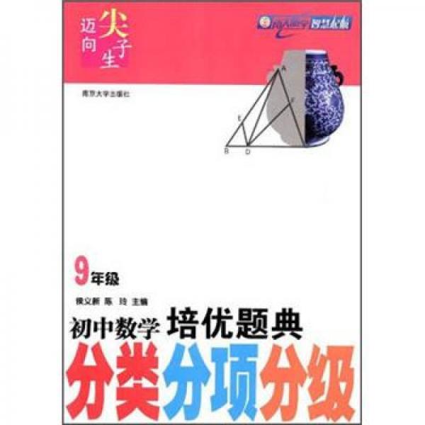 初中数学培优题典（分类、分项、分级）（9年级）（第2版）