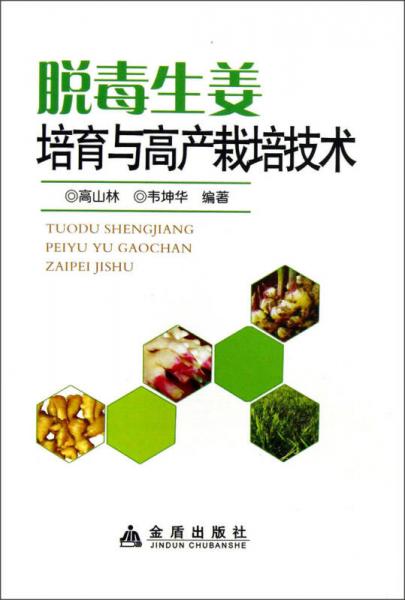 脫毒生姜培育與高產(chǎn)栽培技術(shù)