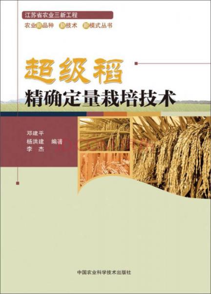 超级稻精确定量栽培技术