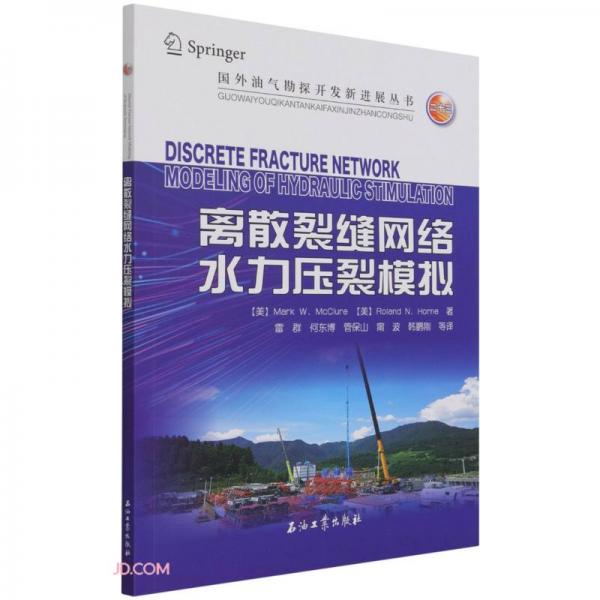 离散裂缝网络水力压裂模拟/国外油气勘探开发新进展丛书