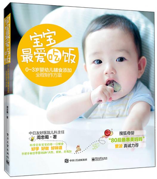 宝宝，最爱吃饭――0-3岁婴幼儿辅食添加全程制作方案