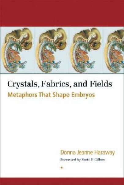 Crystals, Fabrics, and Fields: Metaphors That Shape Embryos