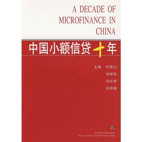 中國小額信貸十年