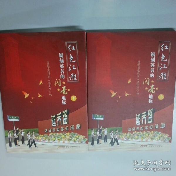 红色江淮 上下两册