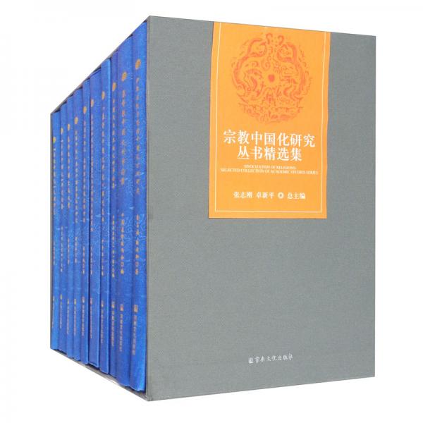 宗教中国化研究丛书精选集（套装共10册）
