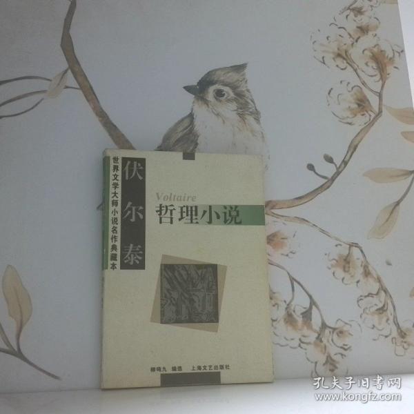 伏爾泰哲理小說