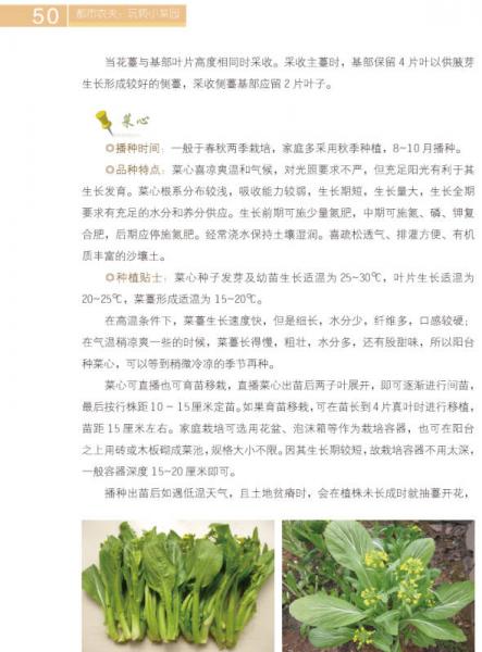 都市农夫：玩转小菜园