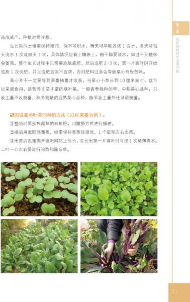 都市农夫：玩转小菜园