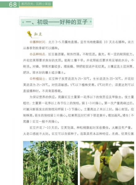 都市农夫：玩转小菜园