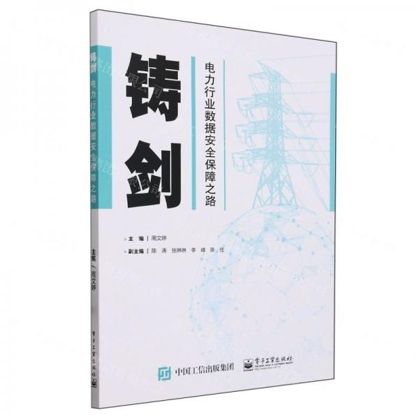 鑄劍(電力行業(yè)數(shù)據(jù)安全保障之路)