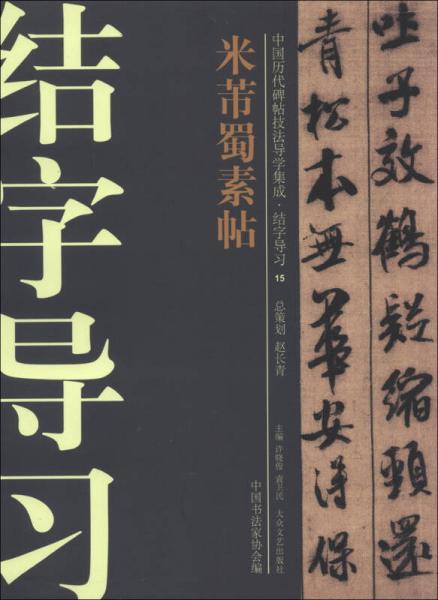 中國歷代碑帖技法導(dǎo)學(xué)集成·結(jié)字導(dǎo)習(xí)（15）：米芾蜀素帖