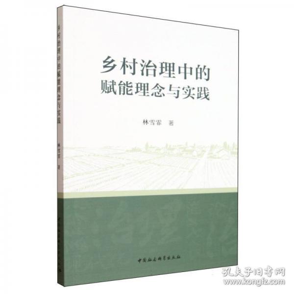 乡村治理中的赋能理念与实践