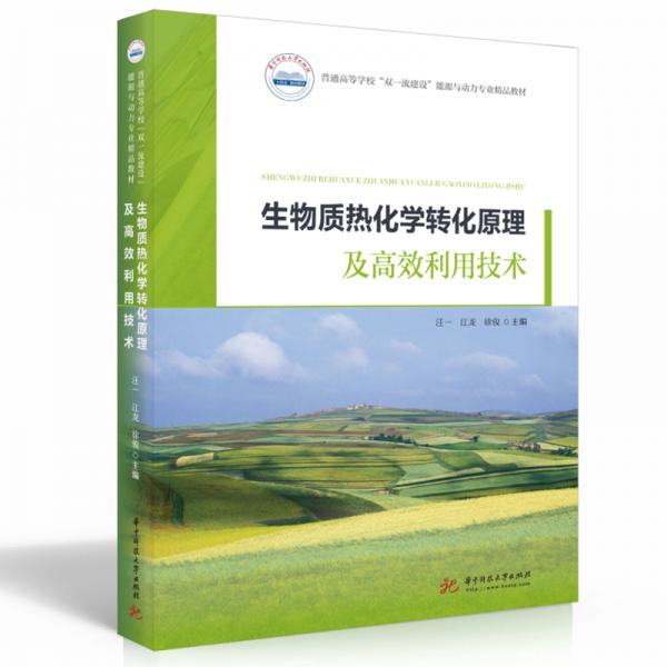 生物質(zhì)熱化學(xué)轉(zhuǎn)化原理及高效利用技術(shù)