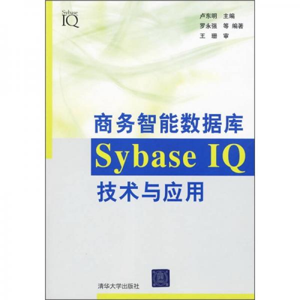 商务智能数据库Sybase IQ技术与应用