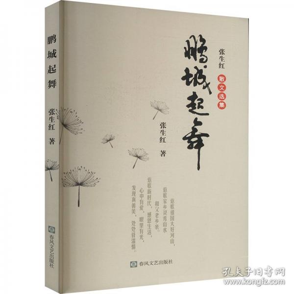 鹏城起舞 中国现当代文学