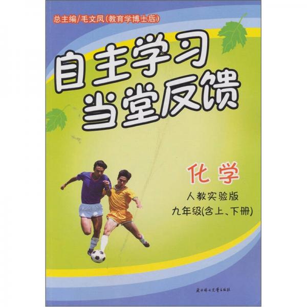 自主学习当堂反馈：化学（九年级含上、下册）（人教实验版）