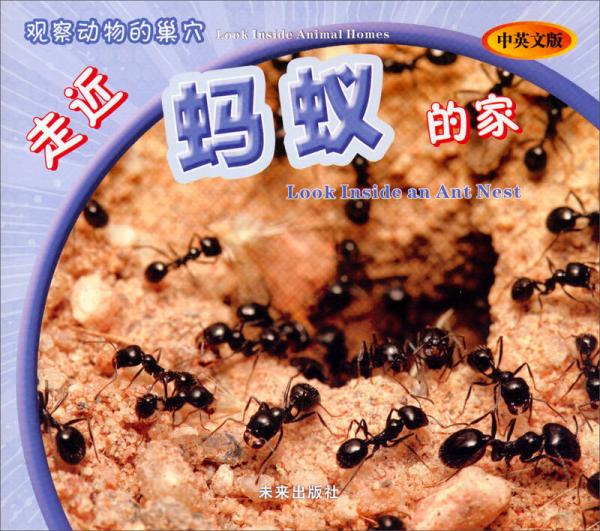 觀察動(dòng)物的巢穴：走近螞蟻的家