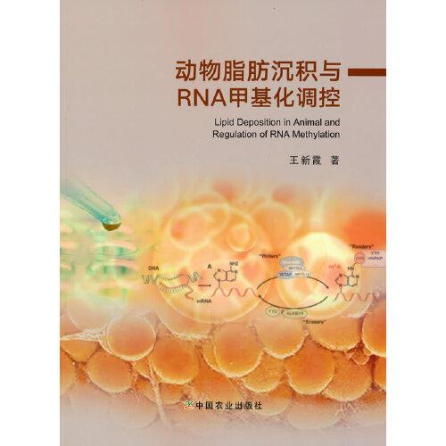 動(dòng)物脂肪沉積與RNA甲基化調(diào)控