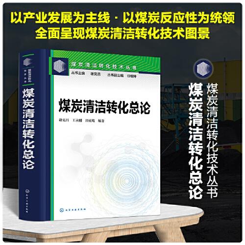 煤炭清潔轉(zhuǎn)化技術(shù)叢書--煤炭清潔轉(zhuǎn)化總論