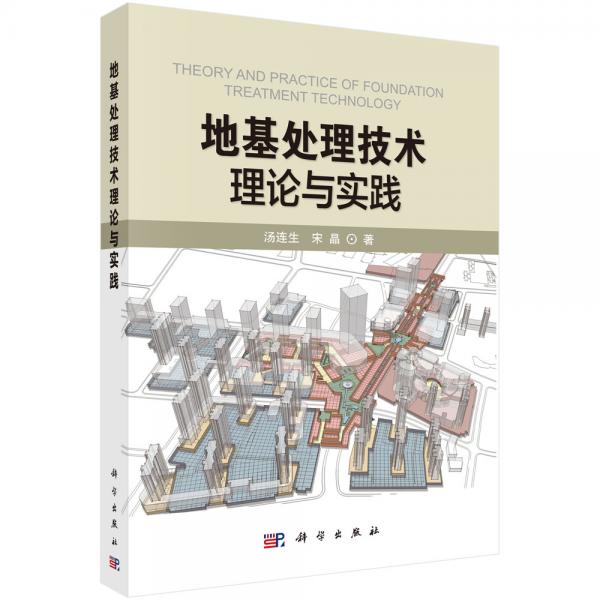 地基處理技術(shù)理論與實踐
