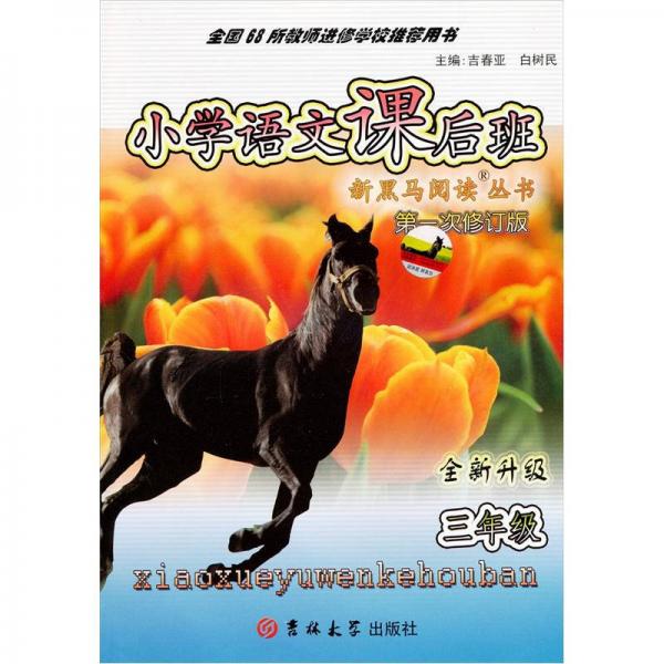 新黑马阅读丛书：小学语文课后班